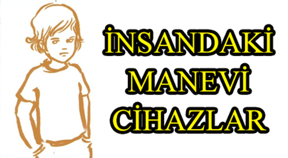 İNSANDAKİ MANEVİ CİHAZLAR